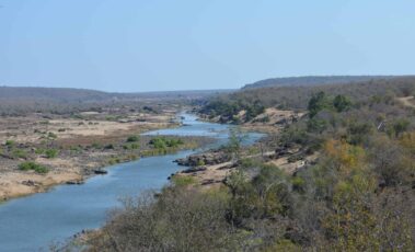 African savannah and river - Kruger National Park - South Africa